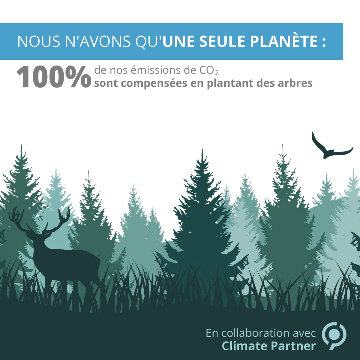 Spray Argent Colloïdal 100mL ● 100% Naturel 40 PPM ● Concentration Supérieure, Particules plus Petites : Meilleurs Résultats ● Fabriqué en France ● Certifié par 3 laboratoires ● Institut Katharos®