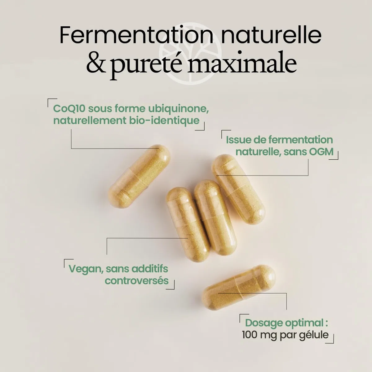 COENZYME Q10 Pure | 200 mg d’Ubiquinone Stable par Dose | Antioxydant Puissant pour Effet Anti-âge | Biodisponibilité Maximale | Fermentation Naturelle | 60 Gélules | Made in France | Terravita