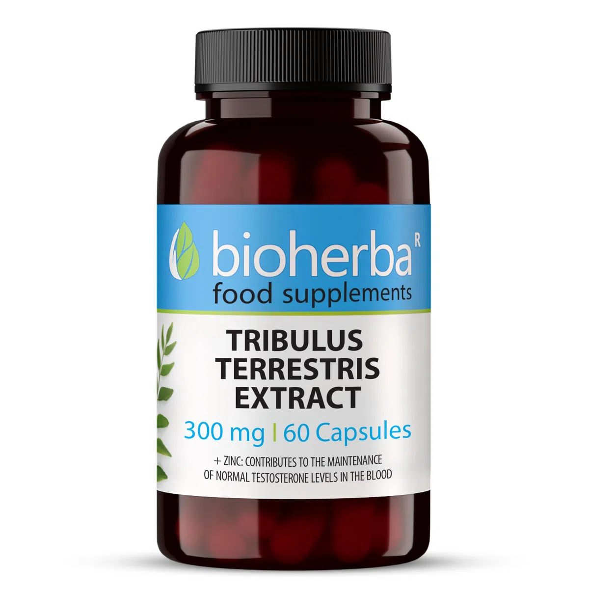 Tribulus Terrestris – 100 Gélules de 300 mg | Avec zinc – Complément végétal pour le tonus masculin – par BIOHERBA