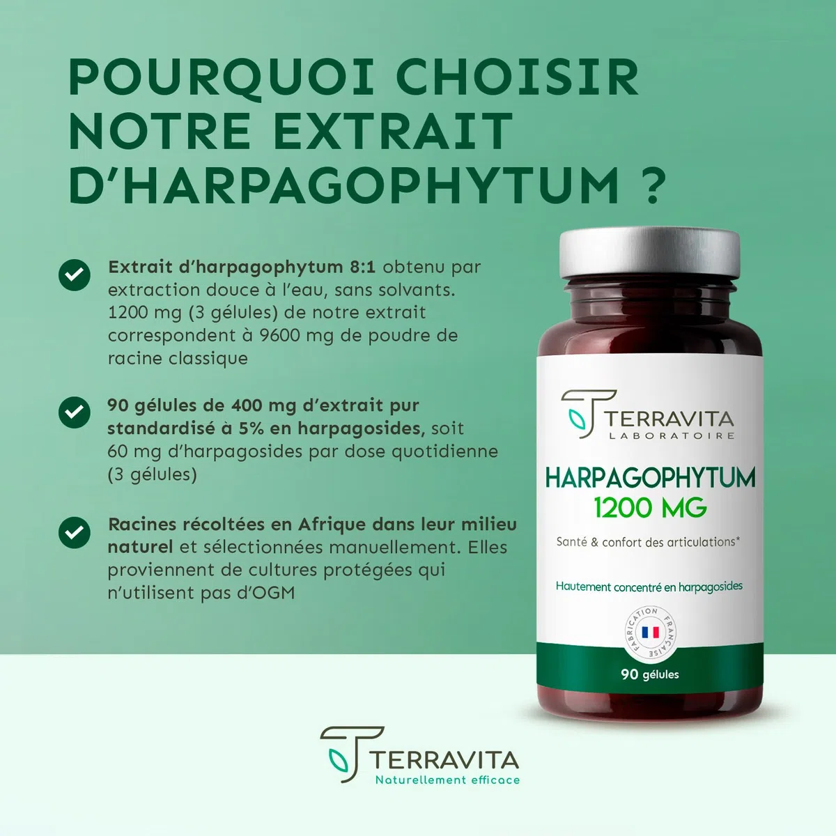 HARPAGOPHYTUM | Extrait 8:1 Ultra Concentré à 5% en Harpagosides | Douleurs Articulaires - Arthrose | Mobilité et Souplesse Renforcées | 90 Gélules de 400 mg | Made in France | Terravita