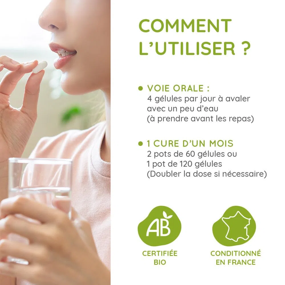 Gélules Végétale Propolis Verte Bio - enveloppe végétale - Dosées à 100mg/gélule - 60 gélules - Sans colorant ni conservateur - Certifiées bio - Agriculture Biologique - PROPOS'NATURE
