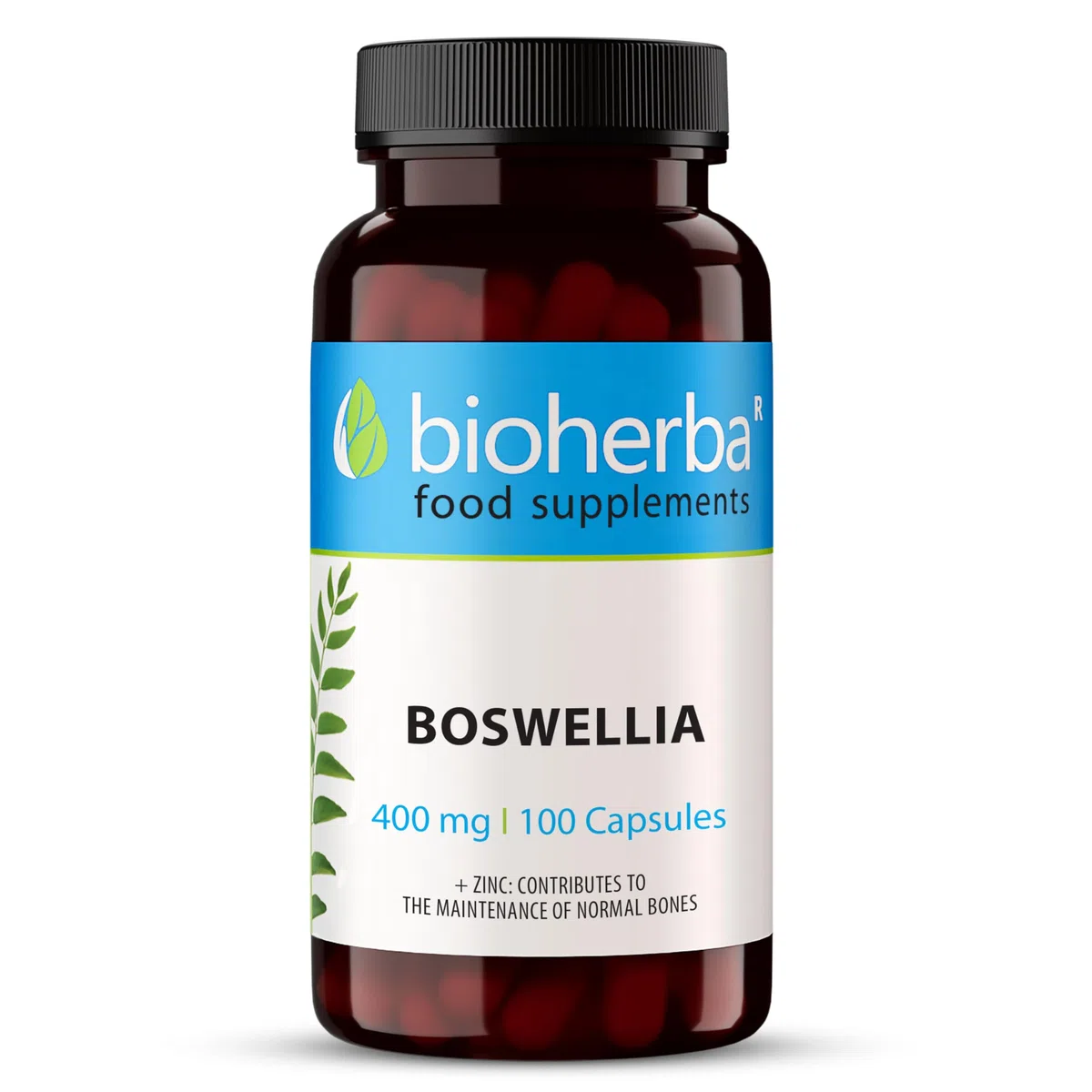 Boswellia Serrata – 100 Gélules de 400 mg | Complément végétal à base d'encens indien – par BIOHERBA