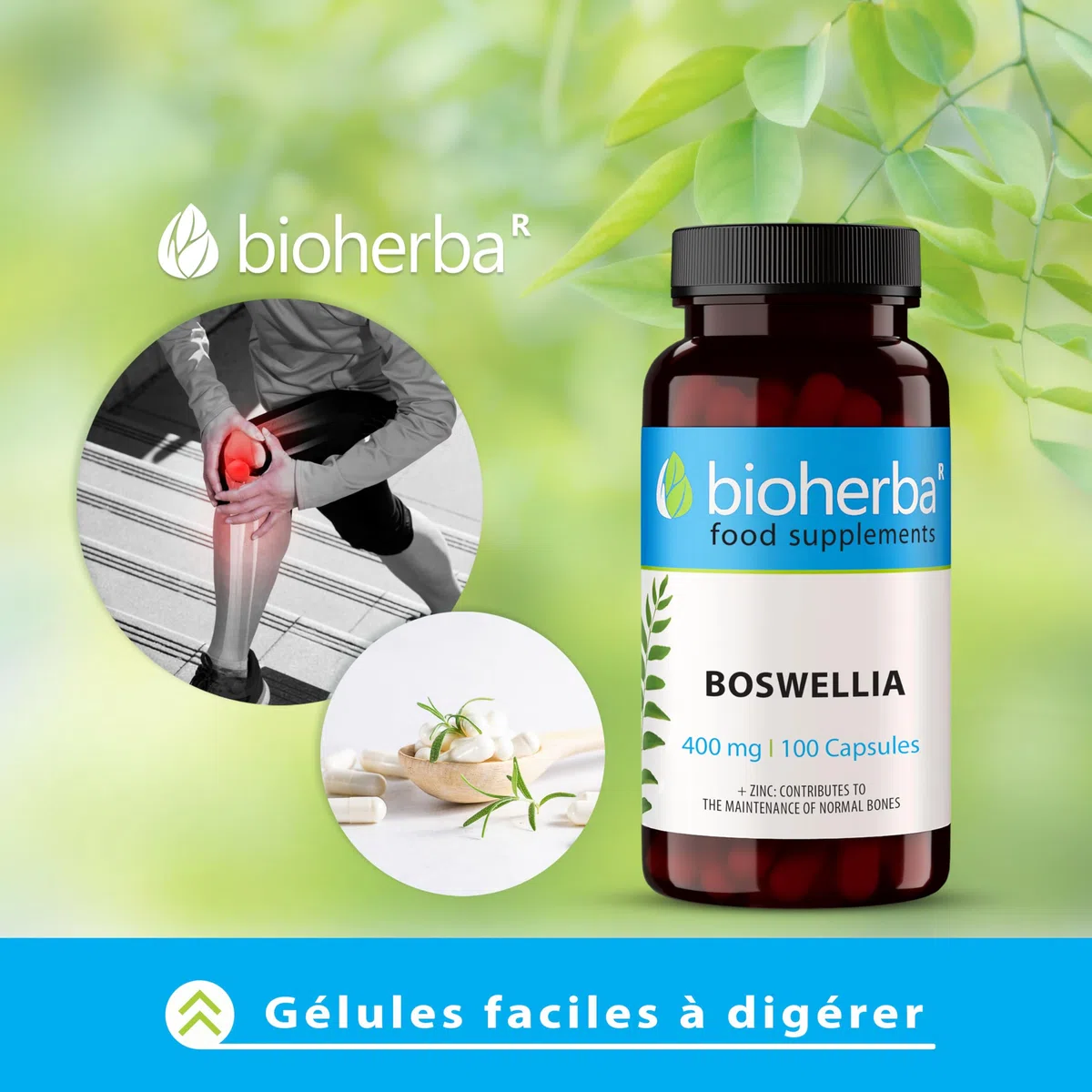Boswellia Serrata – 100 Gélules de 400 mg | Complément végétal à base d'encens indien – par BIOHERBA