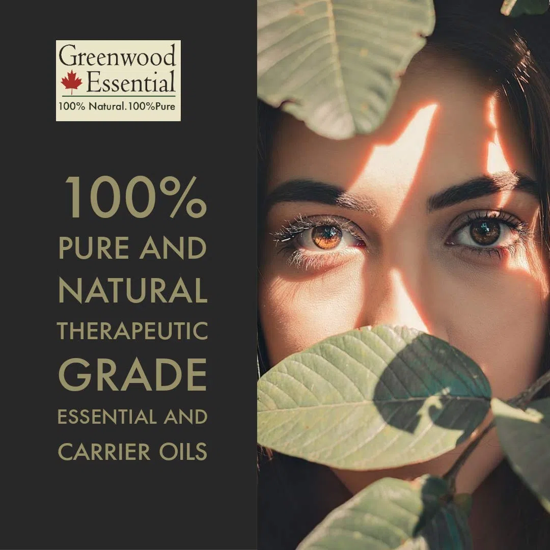 Greenwood Essential Huile d'avocat naturelle pure (Persea americana) pressée à froid, 630 ml