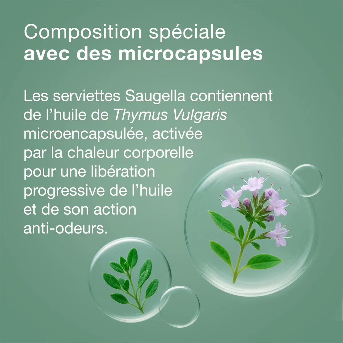 Saugella - Cotton Touch Jour - Serviettes Hygiéniques - Très Absorbantes – Extra-fines - Hypoallergéniques Avec Ailettes - Anti-Odeurs - 56 Serviettes - Lot De 4x14