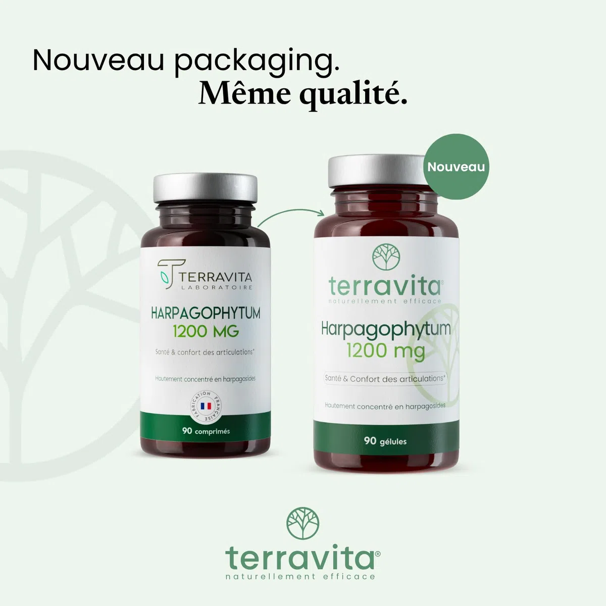 HARPAGOPHYTUM | Extrait 8:1 Ultra Concentré à 5% en Harpagosides | Douleurs Articulaires - Arthrose | Mobilité et Souplesse Renforcées | 90 Gélules de 400 mg | Made in France | Terravita