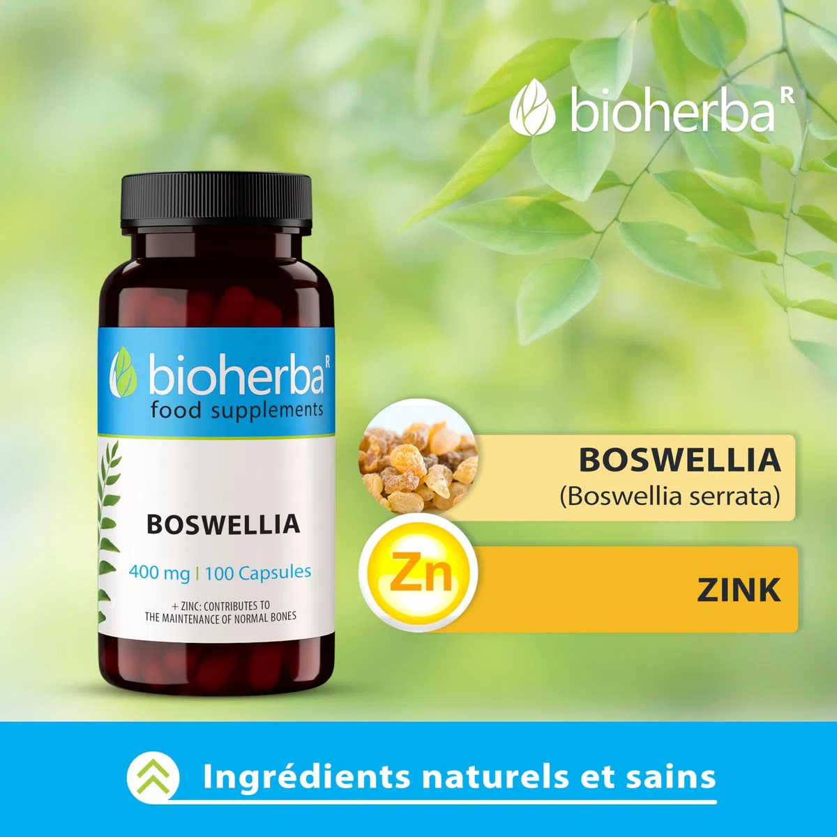 Boswellia Serrata – 100 Gélules de 400 mg | Complément végétal à base d'encens indien – par BIOHERBA