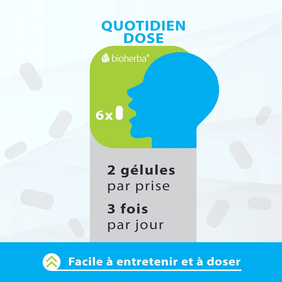 Boswellia Serrata – 100 Gélules de 400 mg | Complément végétal à base d'encens indien – par BIOHERBA